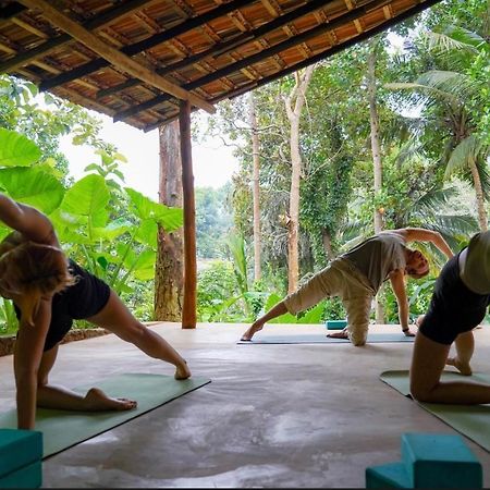 Into The Blue - Yoga Included & Walk To 3 Beaches Tangalle Eksteriør billede