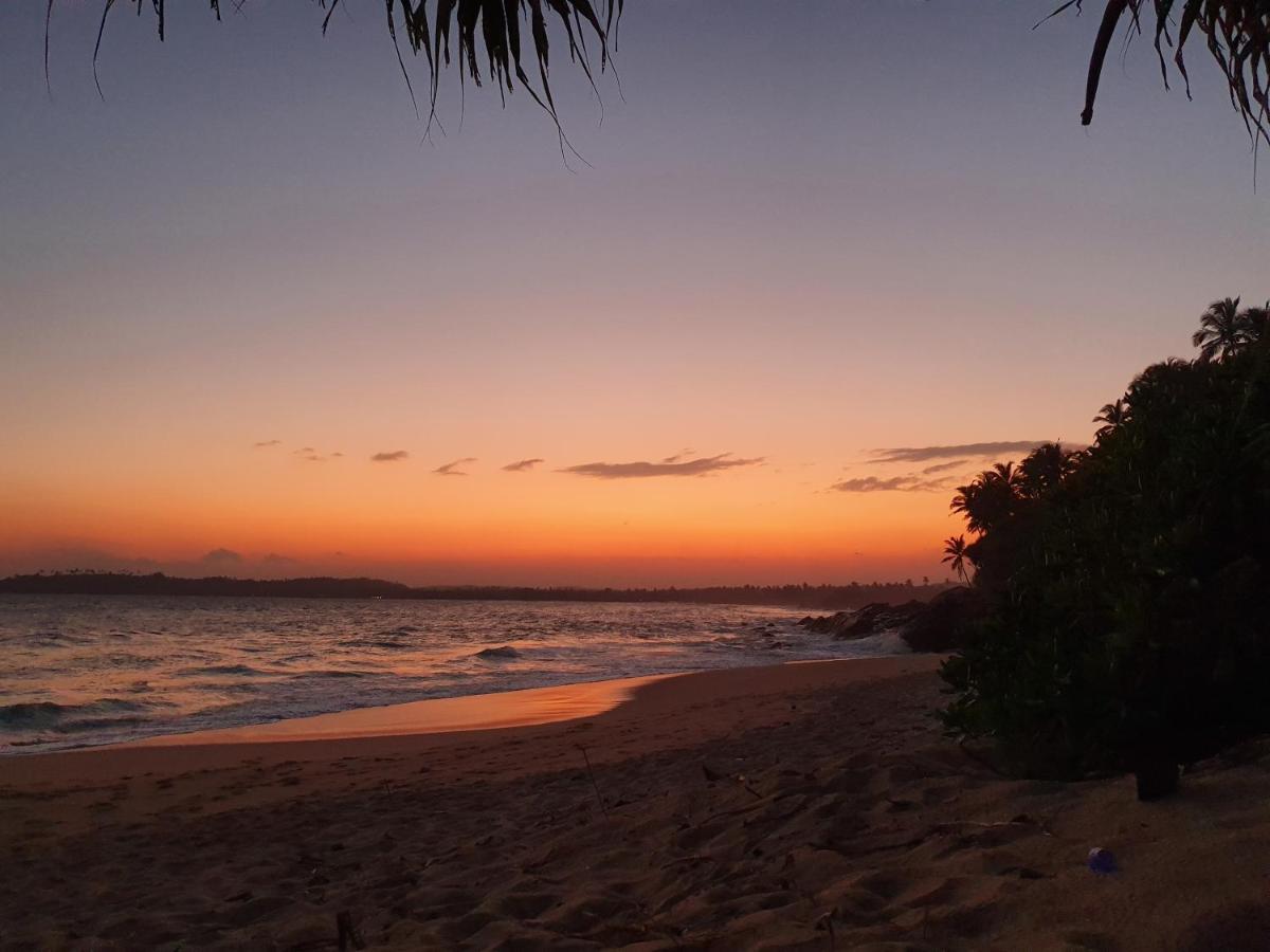 Into The Blue - Yoga Included & Walk To 3 Beaches Tangalle Eksteriør billede