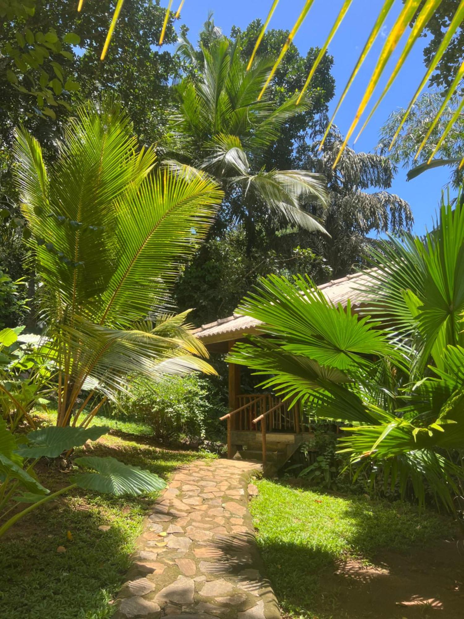 Into The Blue - Yoga Included & Walk To 3 Beaches Tangalle Eksteriør billede