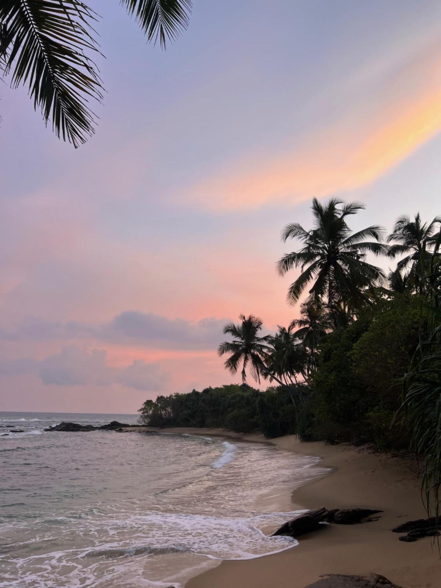 Into The Blue - Yoga Included & Walk To 3 Beaches Tangalle Eksteriør billede