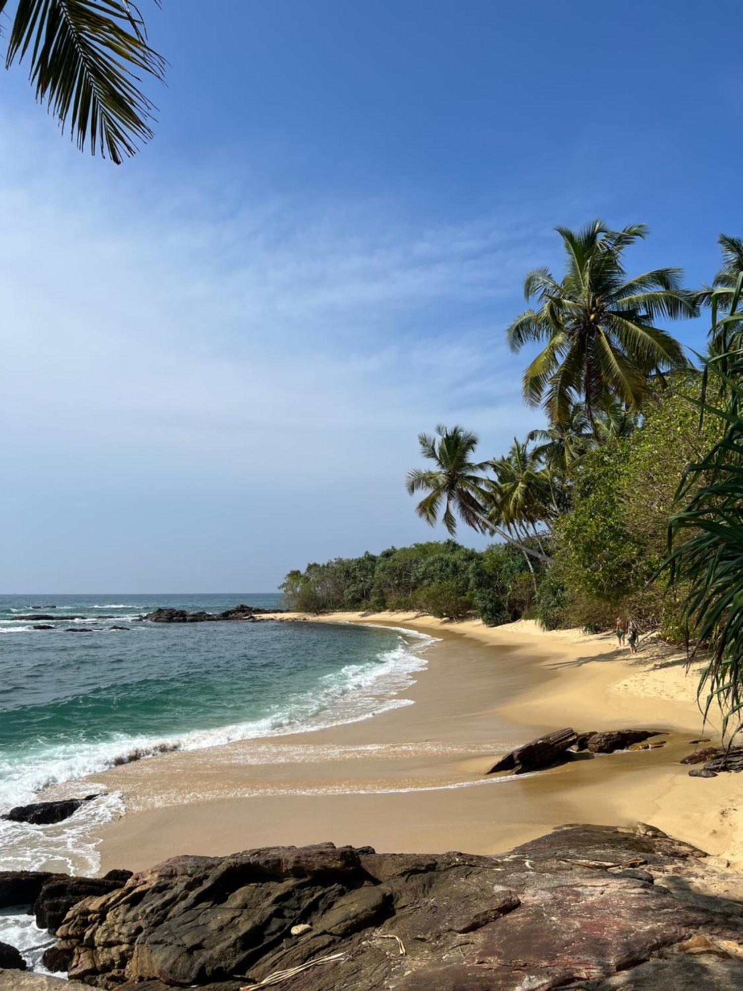 Into The Blue - Yoga Included & Walk To 3 Beaches Tangalle Eksteriør billede