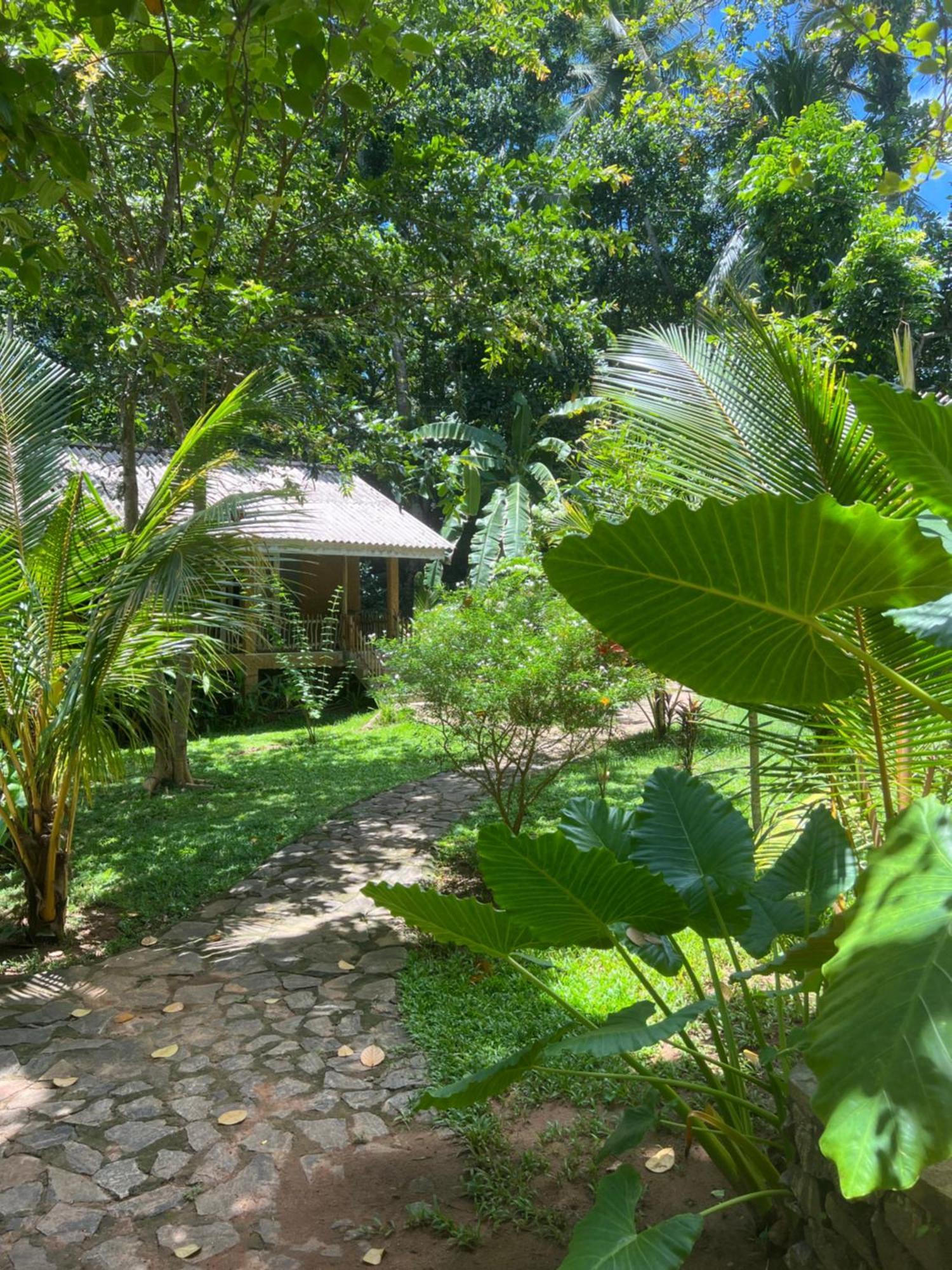 Into The Blue - Yoga Included & Walk To 3 Beaches Tangalle Eksteriør billede