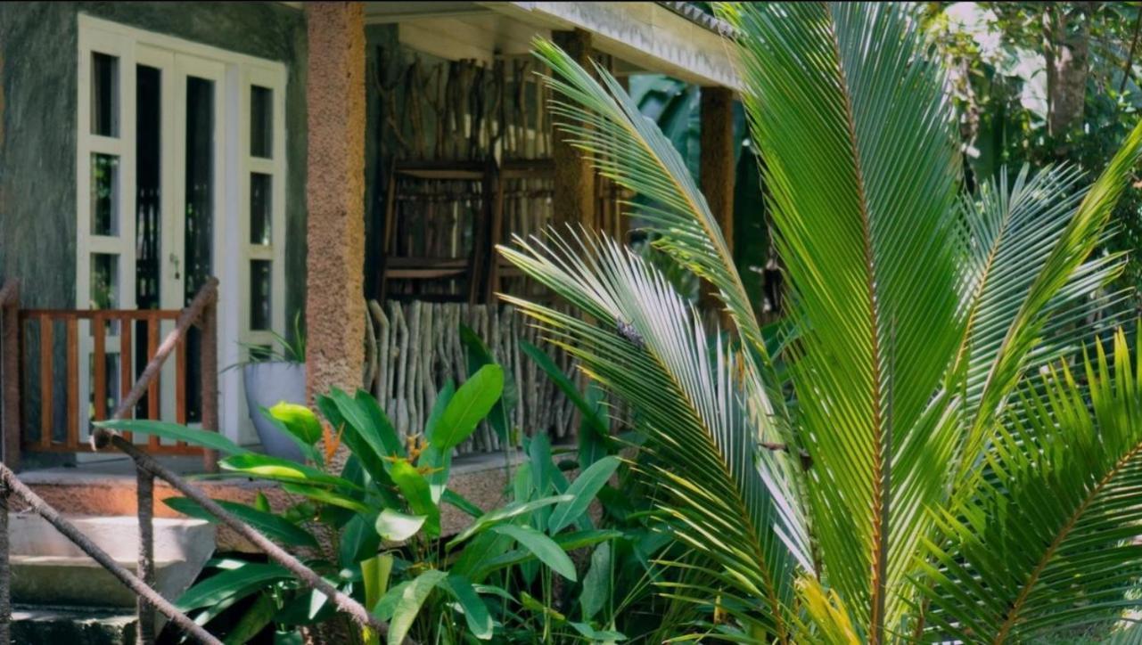 Into The Blue - Yoga Included & Walk To 3 Beaches Tangalle Eksteriør billede