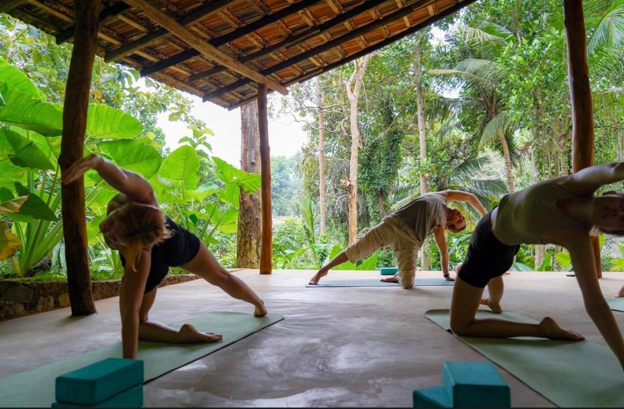 Into The Blue - Yoga Included & Walk To 3 Beaches Tangalle Eksteriør billede