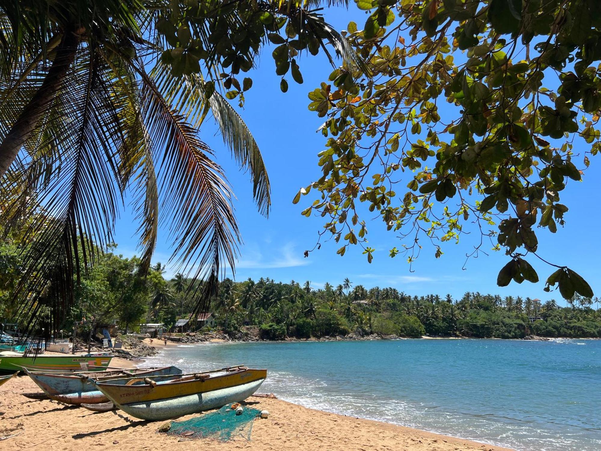 Into The Blue - Yoga Included & Walk To 3 Beaches Tangalle Eksteriør billede